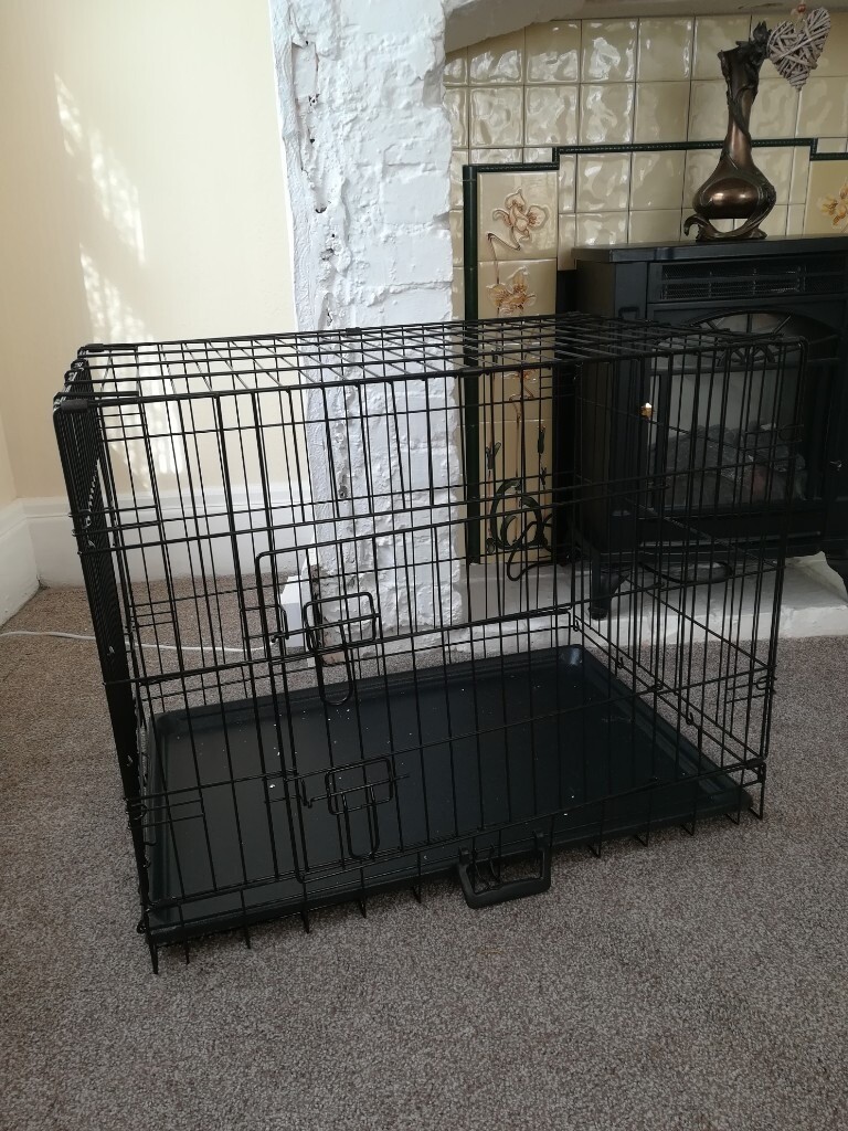argos bird cage